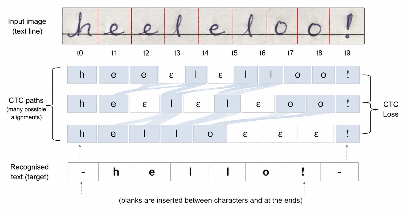 CTC loss alignment between image timesteps and output characters
