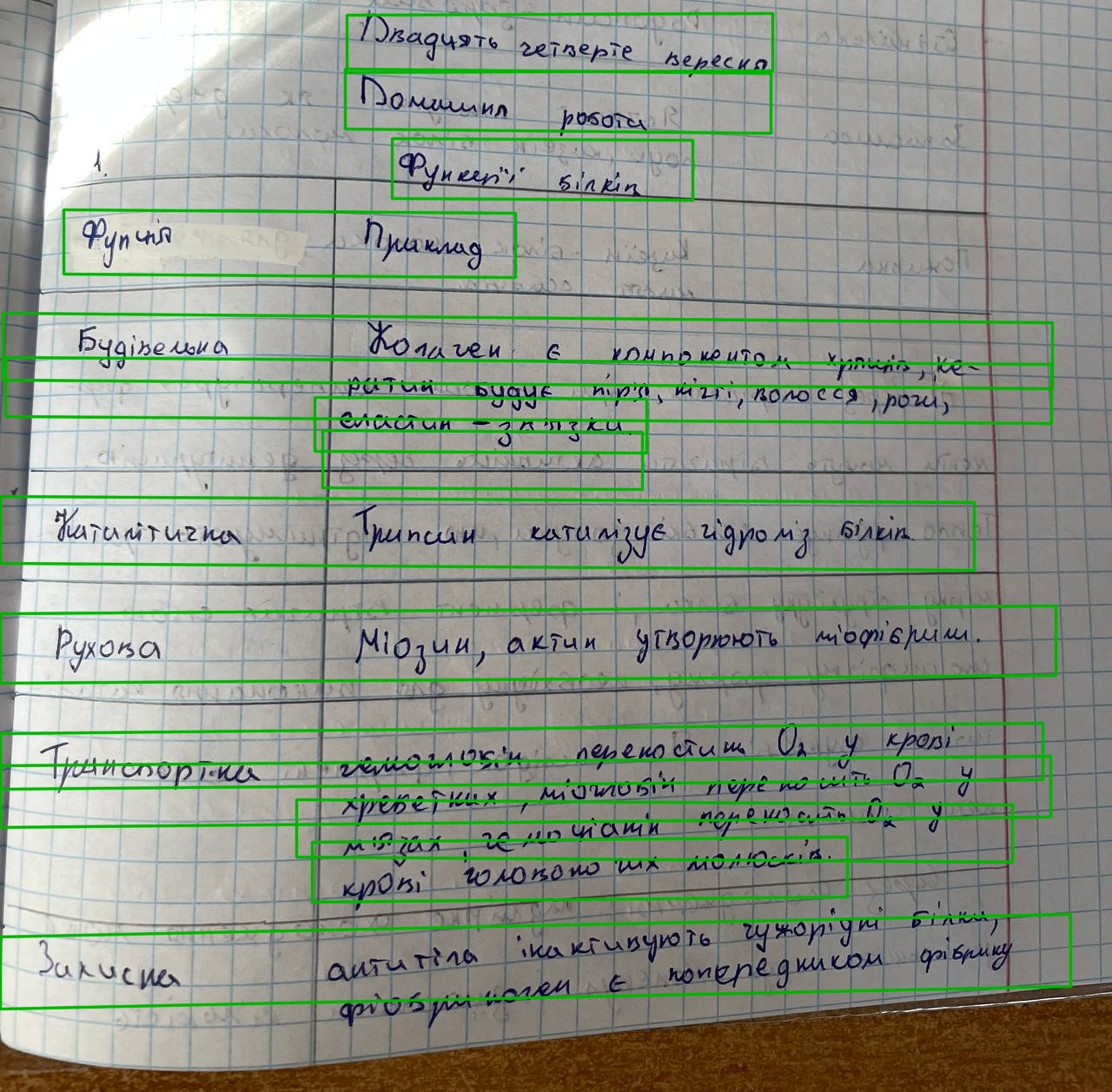 Detection failure example where crop contains extra neighboring text