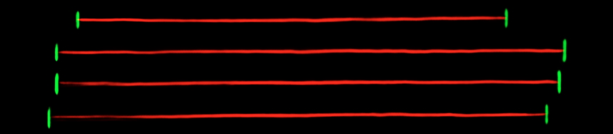 Baseline and separator supervision targets derived from bounding boxes
